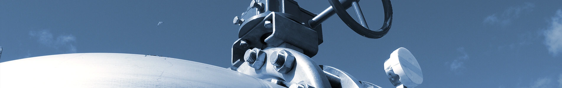 ຜະລິດຕະພັນ