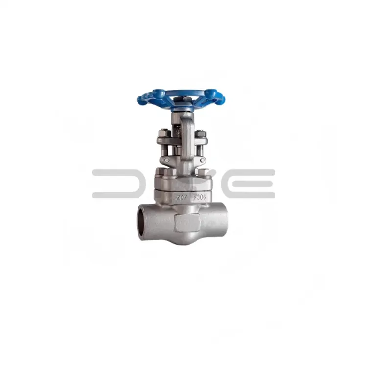 Forged Steel F304 F316 Stainless Steel Flanged Gate Valve