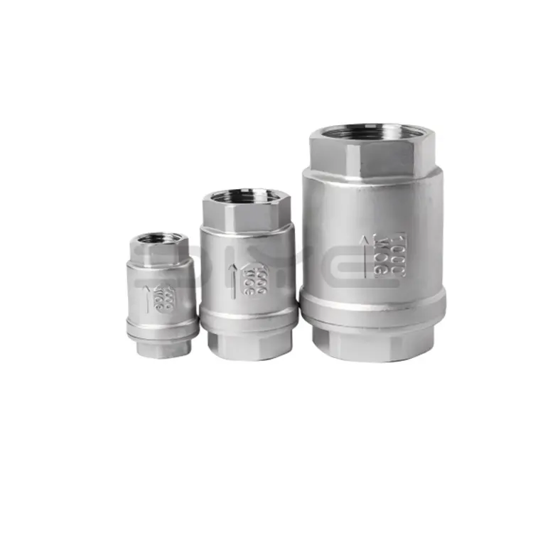 H12 Vertical Check Valve